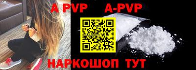 гашик Кингисепп