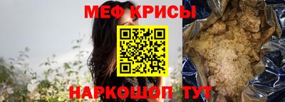 гашик Кингисепп