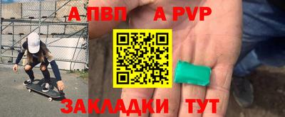 гашик Кингисепп