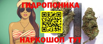 гидра Кимры