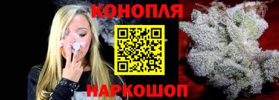 гашик Кингисепп