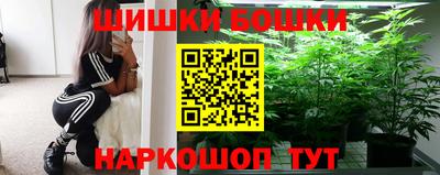 гашик Кингисепп