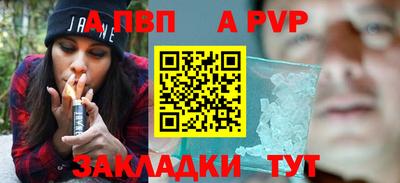 гашик Кингисепп