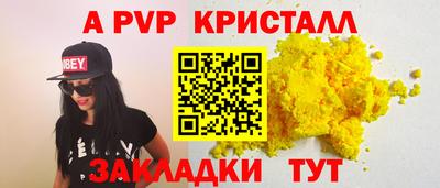 гашик Кингисепп