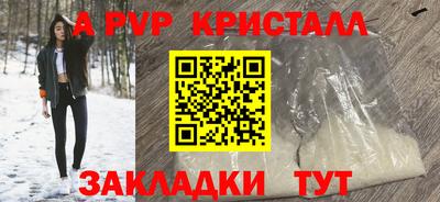 гашик Кингисепп