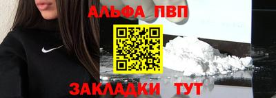 гашик Кингисепп