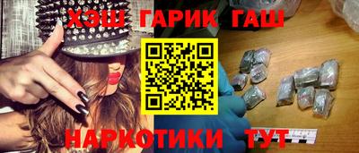 гашик Кингисепп