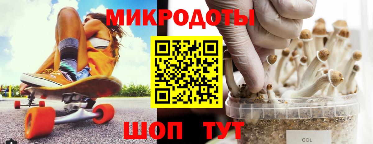 Псилоцибиновые грибы Psilocybine cubensis Буйнакск